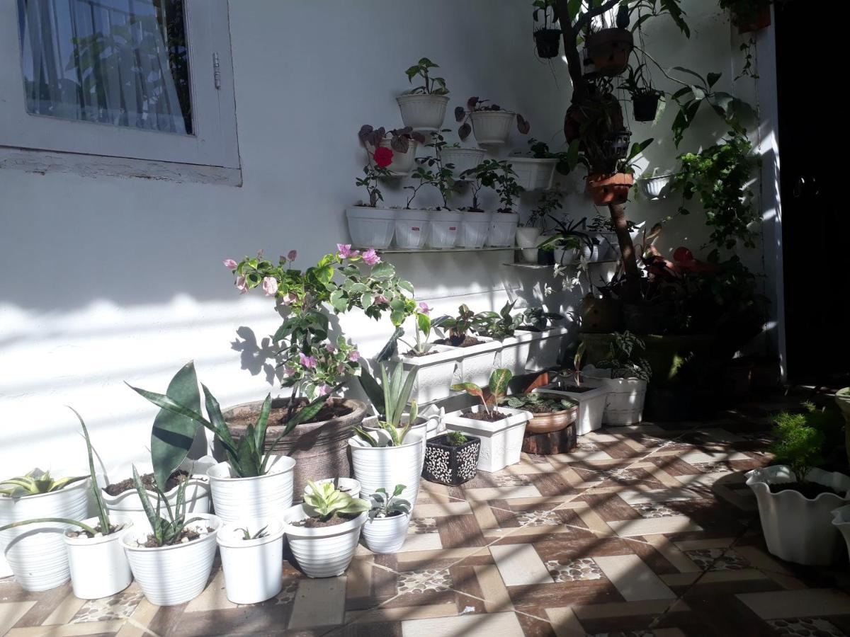 Bumimi Homestay Painan Exterior photo